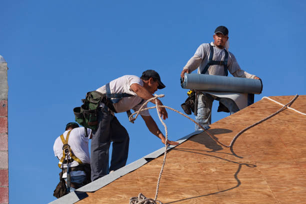 Best Metal Roofing Contractor  in Briar Chapel, NC