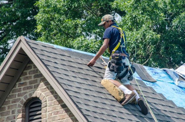 Professional Roofing Contractor in Briar Chapel, NC
